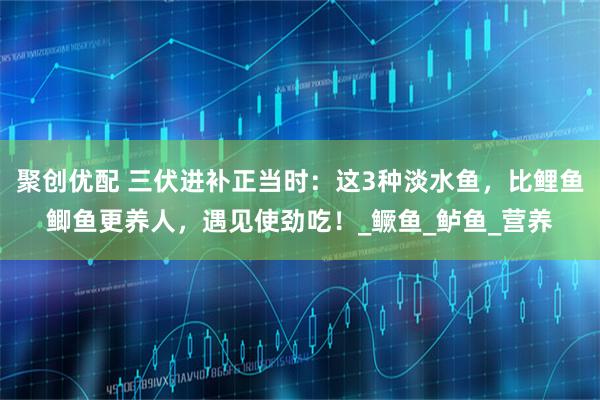 聚创优配 三伏进补正当时：这3种淡水鱼，比鲤鱼鲫鱼更养人，遇见使劲吃！_鳜鱼_鲈鱼_营养