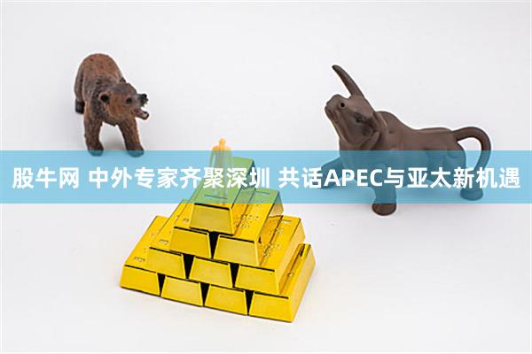 股牛网 中外专家齐聚深圳 共话APEC与亚太新机遇